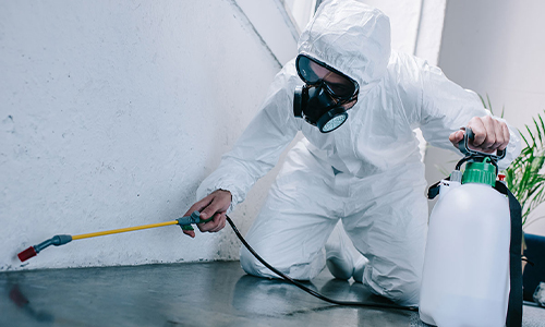 Pest Control Services